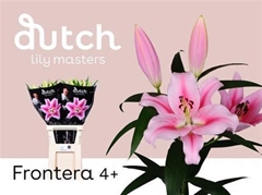Li Or Frontera 90cm 45+