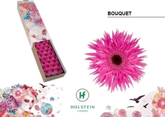 Ge Ms Gersp Bouquet 45cm 7cm Ø