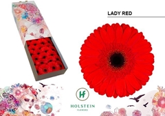 Ge Gr Lady Red 45cm 10cm Ø