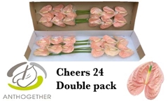 Anth A Cheers 13cm Ø