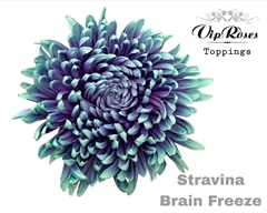 Chr G Stravina Brain Freeze