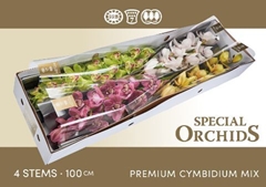 Cymb Branch Mixed 100cm 16+