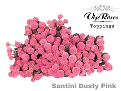 Chr S Dusty Pink