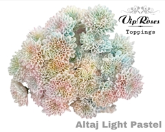 Chr T Altaj Light Pastel