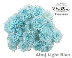 Chr T Altaj Light Blue