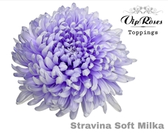 Chr G Stravina Soft Milka