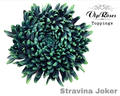 Chr G Stravina Joker