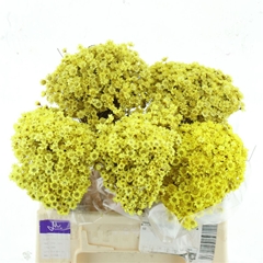 Droogbl Bewerkt H% 50cm 50gram