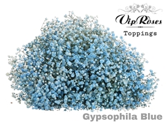 Gyps Pa Blue