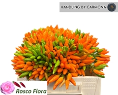 Cap Orange Fire 35cm