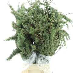 Decogroen Ov Bs 70cm