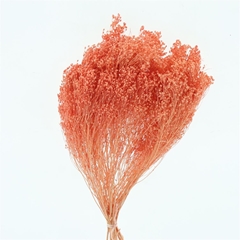 Droogbl Bewerkt H% 55cm 100gram