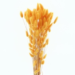 Droogbl Bewerkt H% 60cm 60gram