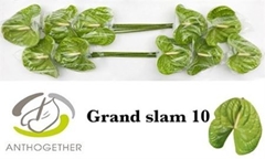 Anth A Grand Slam 15cm Ø
