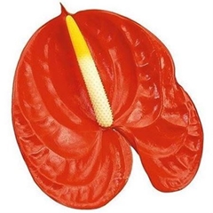 Anth A Sunglow 45cm 13cm Ø