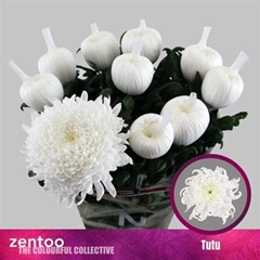 Chr G Tutu 70cm 110gram