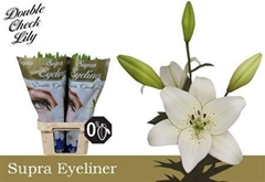Li Az Eyeliner 90cm 55+