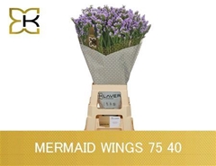 Lim S Mermaid Wings 75cm 40gram