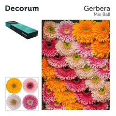 Ge Gb Pom Gem 45cm 10cm Ø