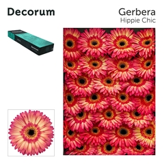 Ge Gr Hippie Chic 45cm 10cm Ø