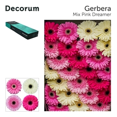 Ge Gr Mixed 45cm 10cm Ø