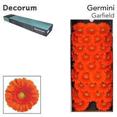 Germini Garfield 45cm 7cm Ø