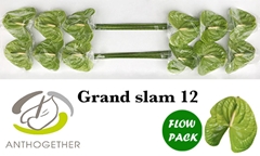Anth A Grand Slam 13cm Ø