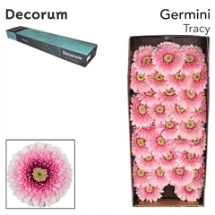Ge Pomponi Tracy 45cm 7cm Ø