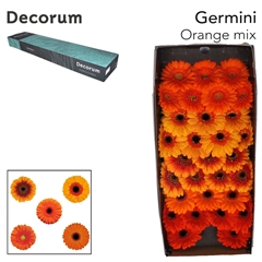 Germini S Mix Oran Gem 45cm 7cm Ø