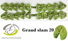 Anth A Grand Slam 9cm Ø