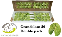 Anth A Grand Slam 9cm Ø