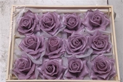 Wax Roos Lila