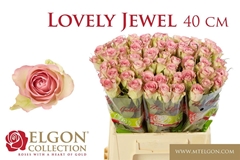 R Gr Lovely Jewel