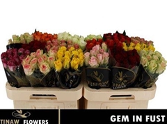 R Gr Mixed In Bucket 60cm