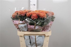Chr G Bigoudi Bronze 80cm 85gram