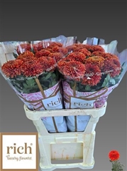 Chr G Paladov Dark 80cm 85gram