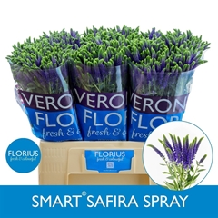 Veron Smart Safira 60cm
