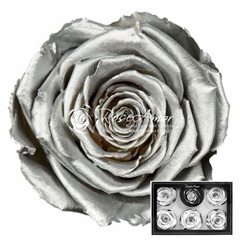 R Gr Colortreated 6cm Ø