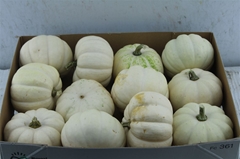 Cuc Pepo Baby Boo