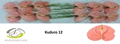 Anth A Kuduro 13cm Ø