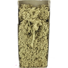 Schinus M Dec Bes Bs 30cm 200gram