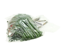 Leatherleaf 45cm