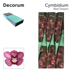 Cymb T Red Dream 80cm 13+