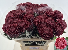 Chr G Bigoudi Red 75cm 100gram