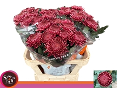 Chr G Bigoudi Red 80cm 110gram