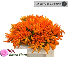 Cap Orange Fire 40cm