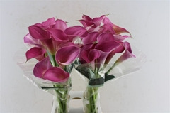 Zant Pink Jewel 80cm