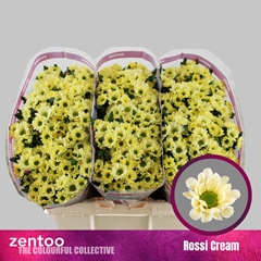 Chr San Rossi Cream 55cm 110g