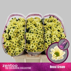Chr San Rossi Cream 55cm 110g