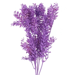 Droogbl Bewerkt H% 70cm